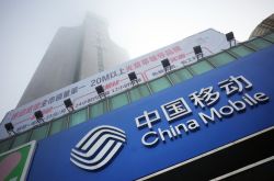 (1分钟科普下)大理州政府热线电话_哔哩哔哩-2